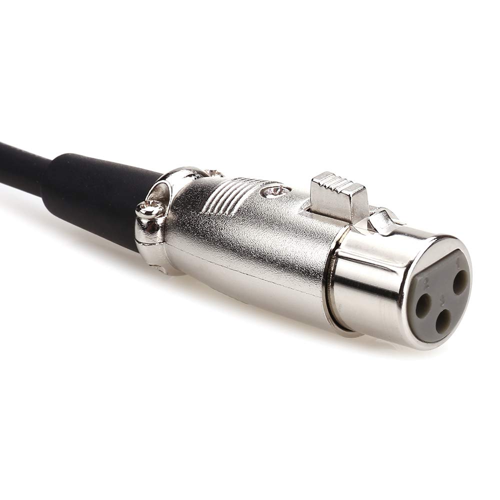 NANYI 3.5mmステレオXLR (メス)マイクケーブル マイク用またはプロ録音